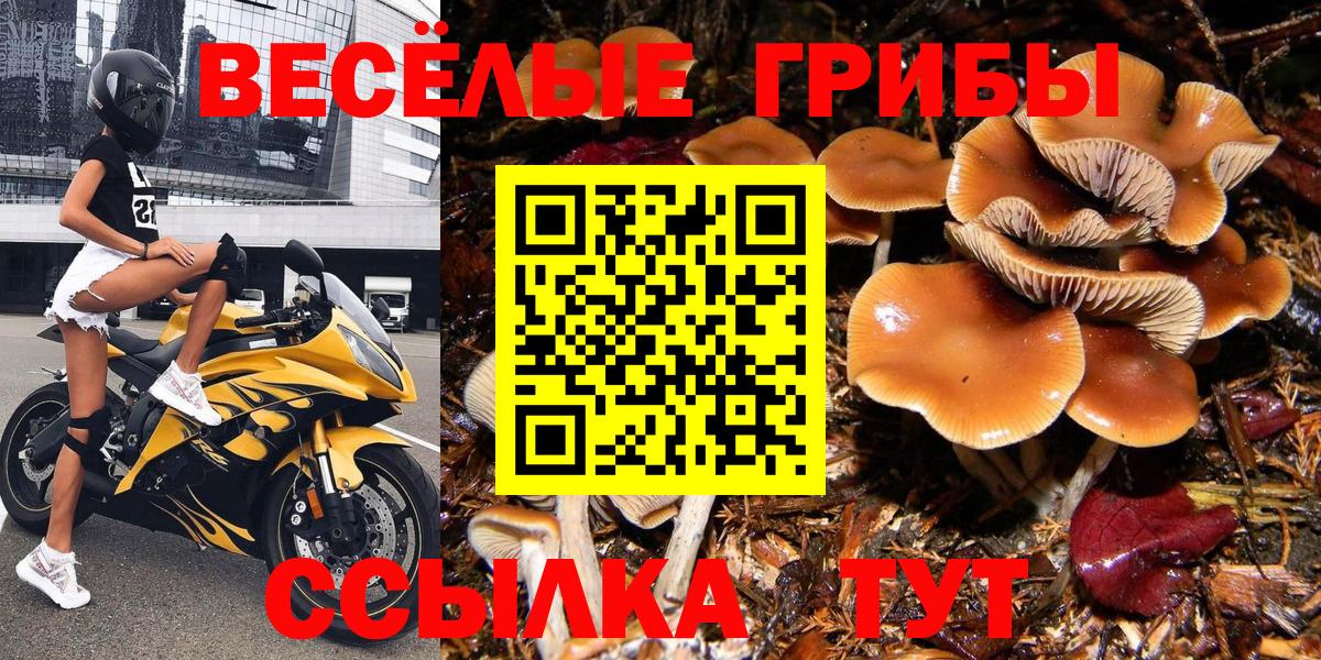 Псилоцибиновые грибы Magic Shrooms Ревда