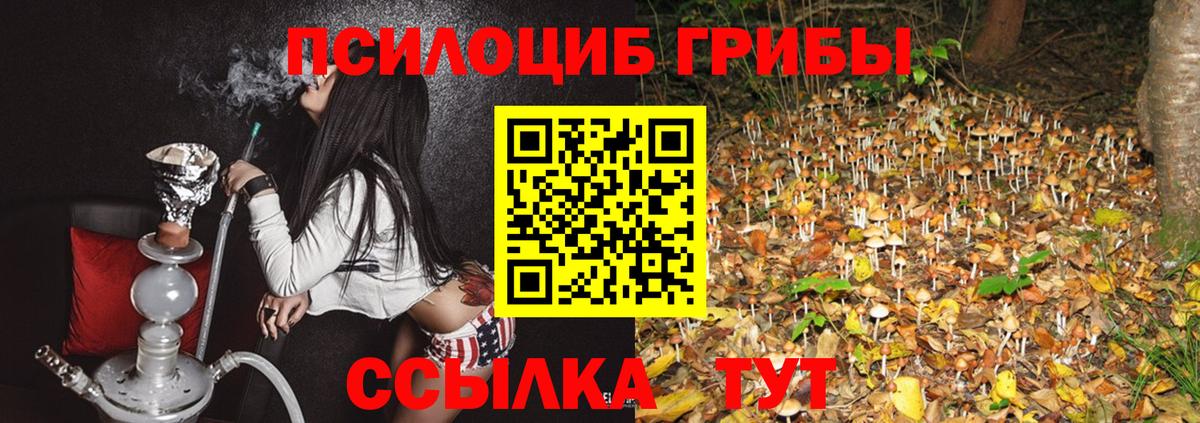 Ревда  Галлюциногенные грибы Magic Shrooms  Вход с VPN  Галлюциногенные грибы ЛСД 